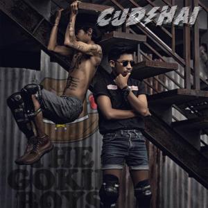 收听The Gokil Boys的Cudihai歌词歌曲