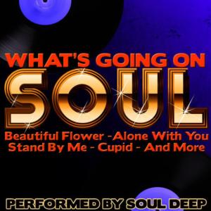 Soul Deep ดาวน์โหลดและฟังเพลงฮิตจาก Soul Deep