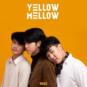 Yellow Mellow ดาวน์โหลดและฟังเพลงฮิตจาก Yellow Mellow