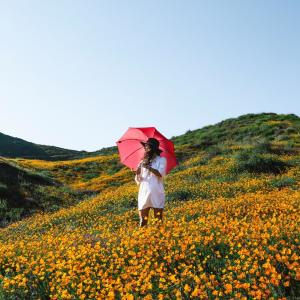 Meditation Music Zone ดาวน์โหลดและฟังเพลงฮิตจาก Meditation Music Zone