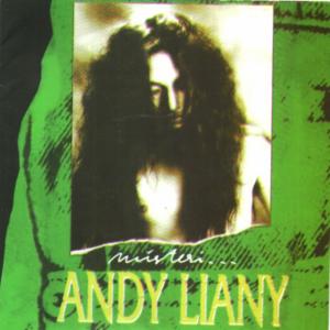 Andy Liany