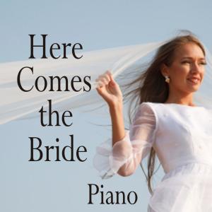 Piano Brothers ดาวน์โหลดและฟังเพลงฮิตจาก Piano Brothers