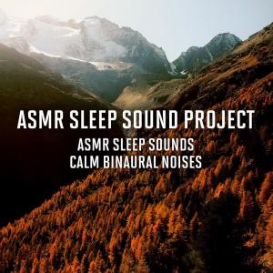 ASMR Sleep Sound Project