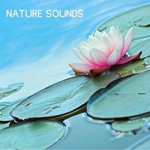 Nature Sounds Nature Music ดาวน์โหลดและฟังเพลงฮิตจาก Nature Sounds Nature Music