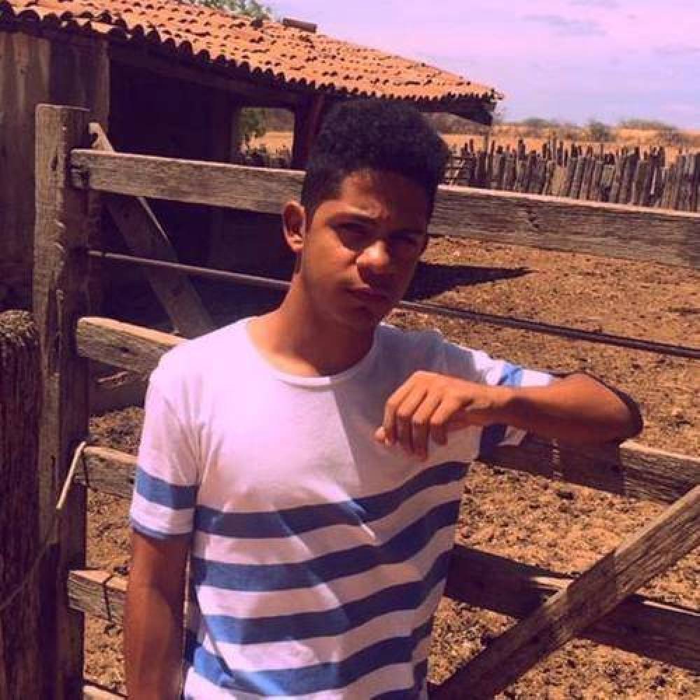 Holigrud
