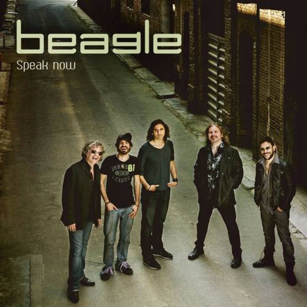 Beagle