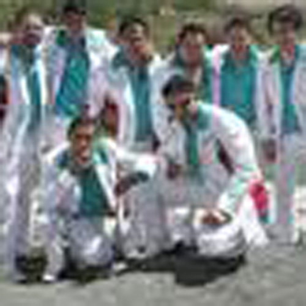 Banda Zarape