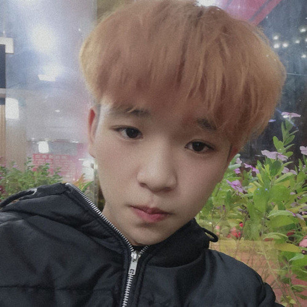 谭子辰