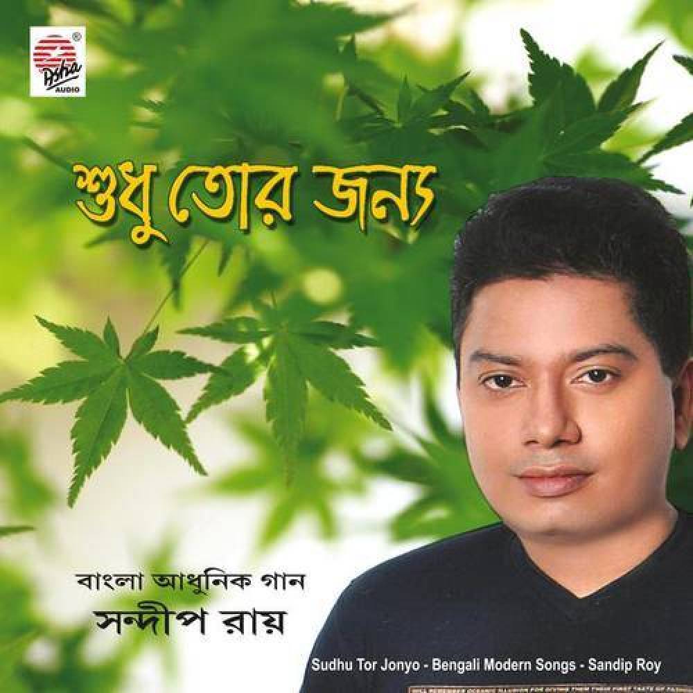 Sandip Kumar Roy