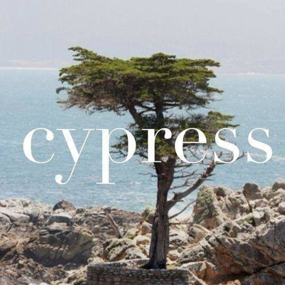 Cypress