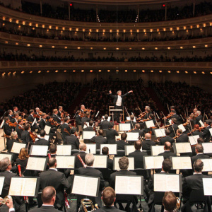 The Orchestra of the Vienna State Opera