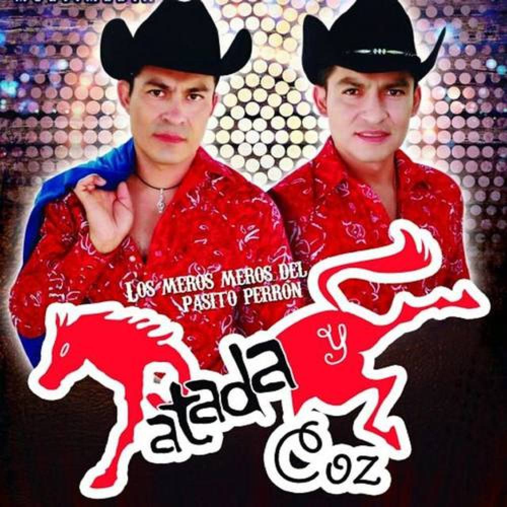 PATADA Y COZ