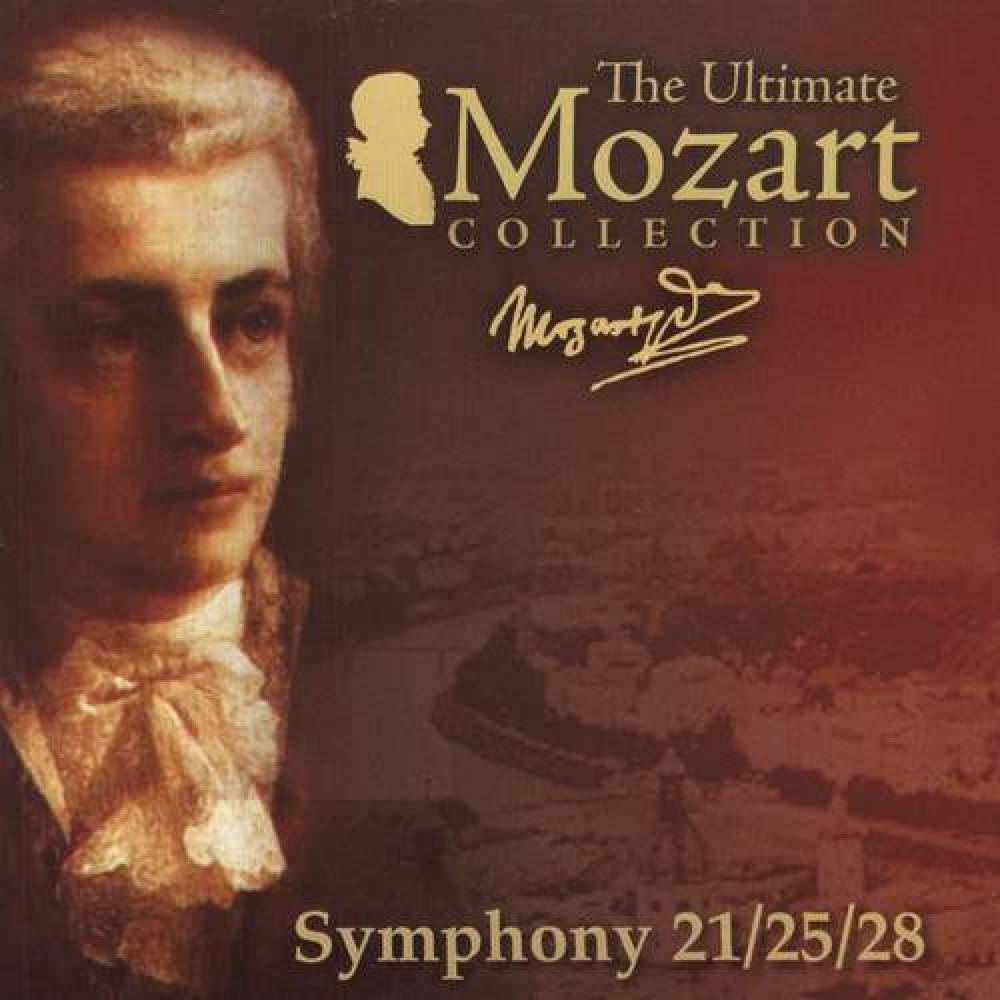 Symphony No. 40 in G Minor, K. 550: I. Molto allegro