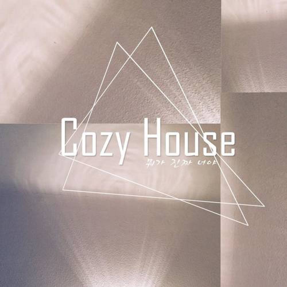 Cozy House
