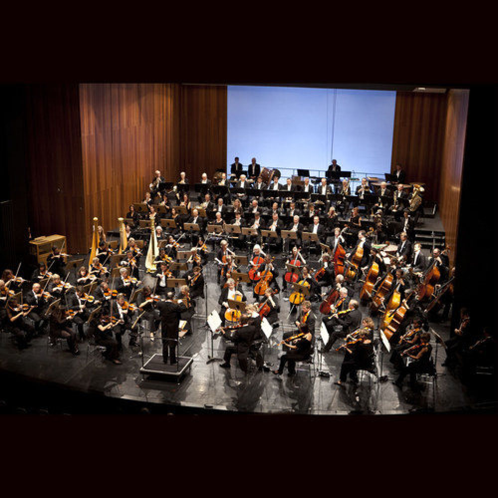 Sinfonieorchester Munster