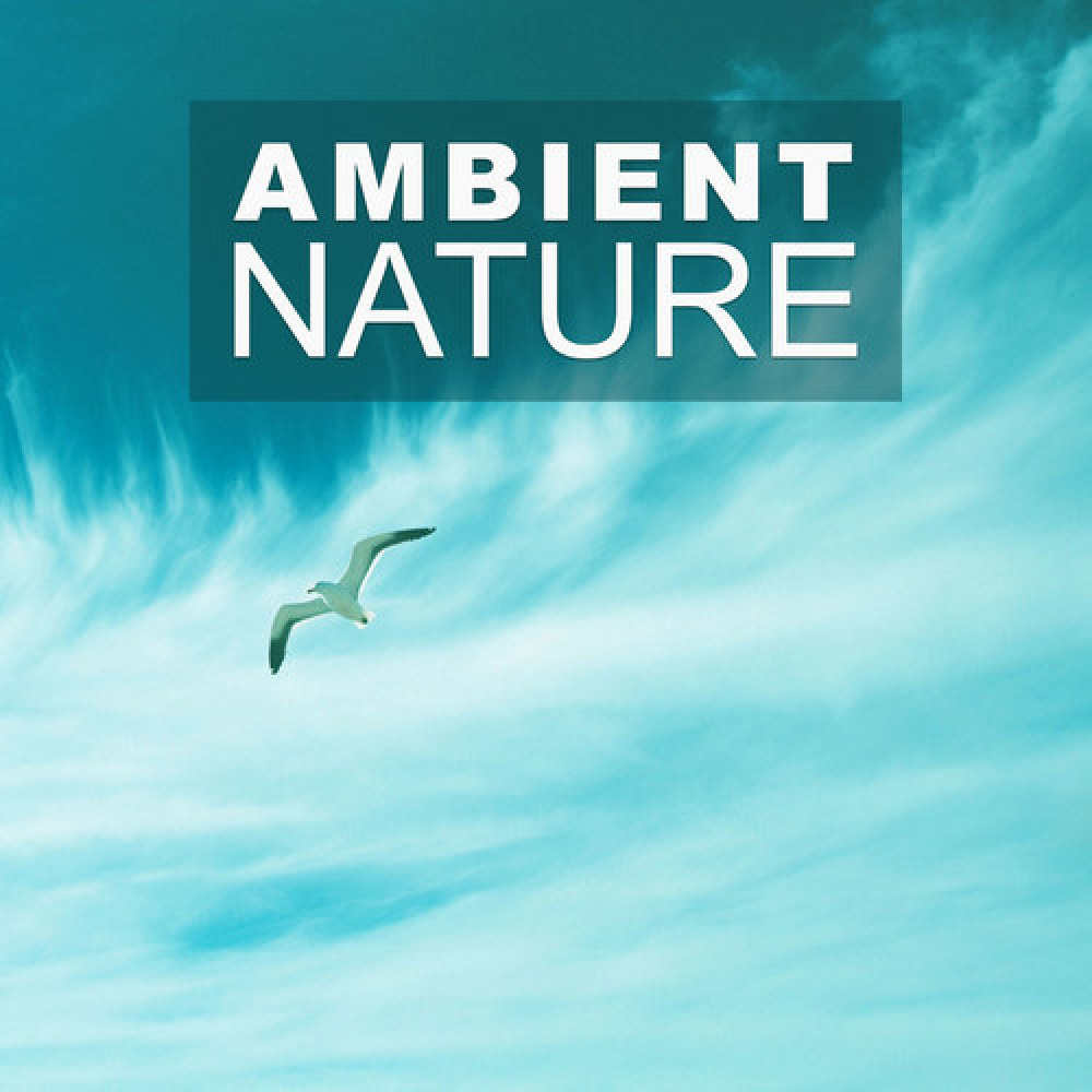Nature Sound Series