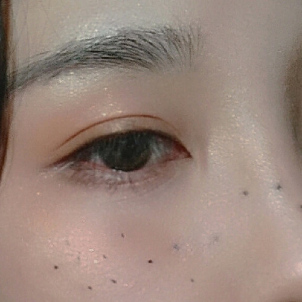 萧阕