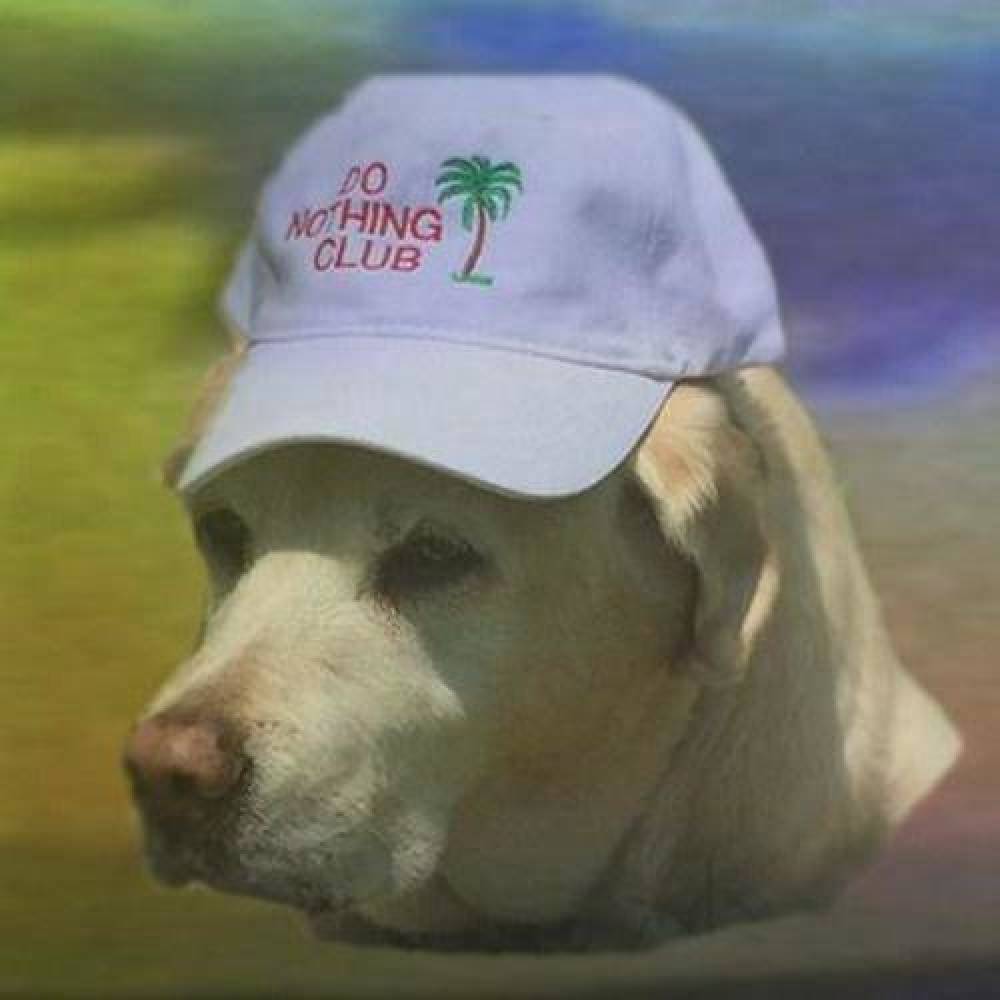 Toj