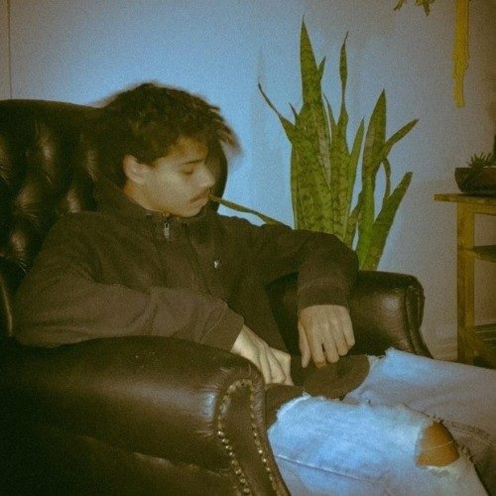 Zvnt