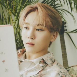 Seungkwan (SEVENTEEN) ดาวน์โหลดและฟังเพลงฮิตจาก Seungkwan (SEVENTEEN)