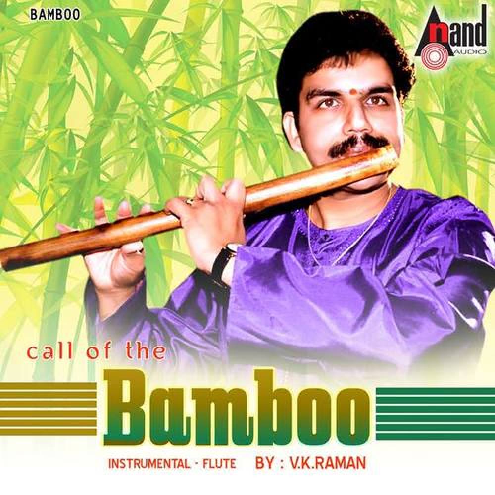 V. K. Raman