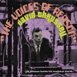 David Thrussell ดาวน์โหลดและฟังเพลงฮิตจาก David Thrussell