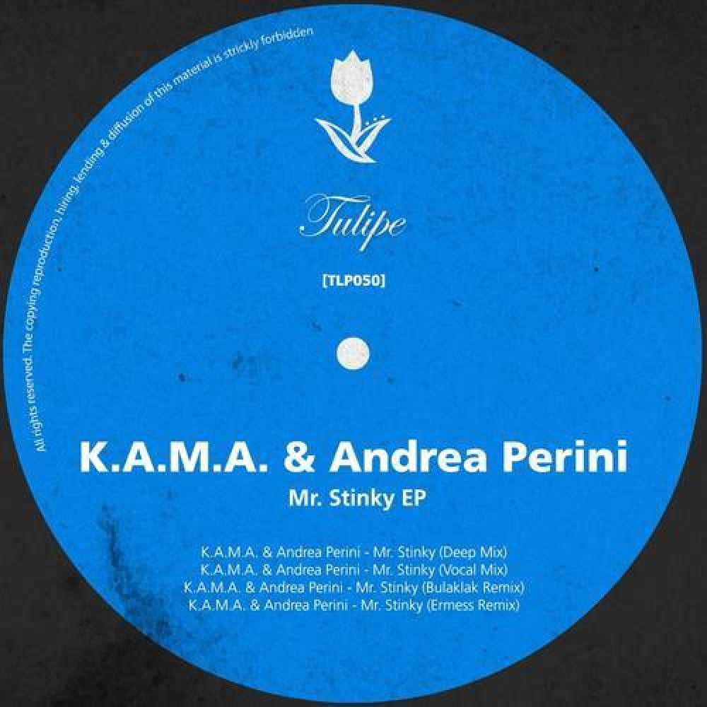 Andrea Perini