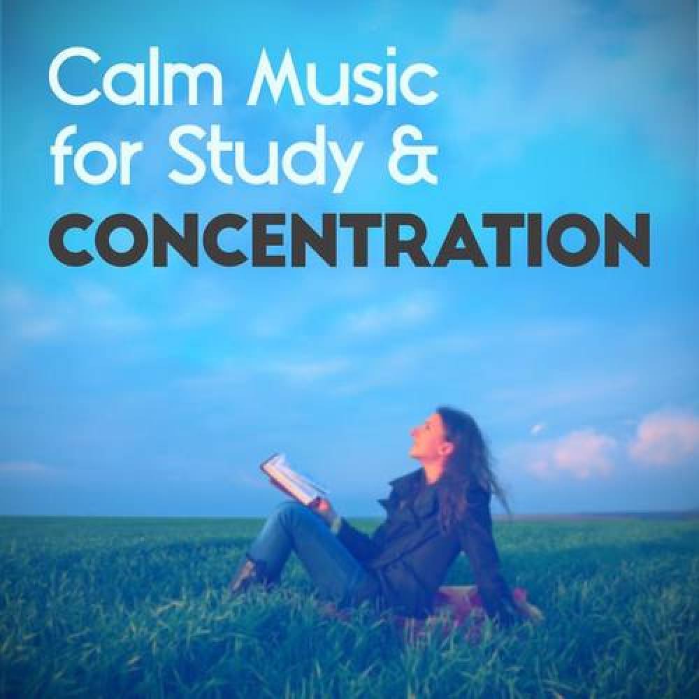 Concentration Music Ensemble