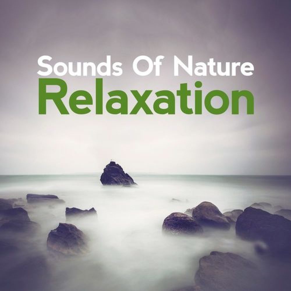 Sounds of Nature Relaxation