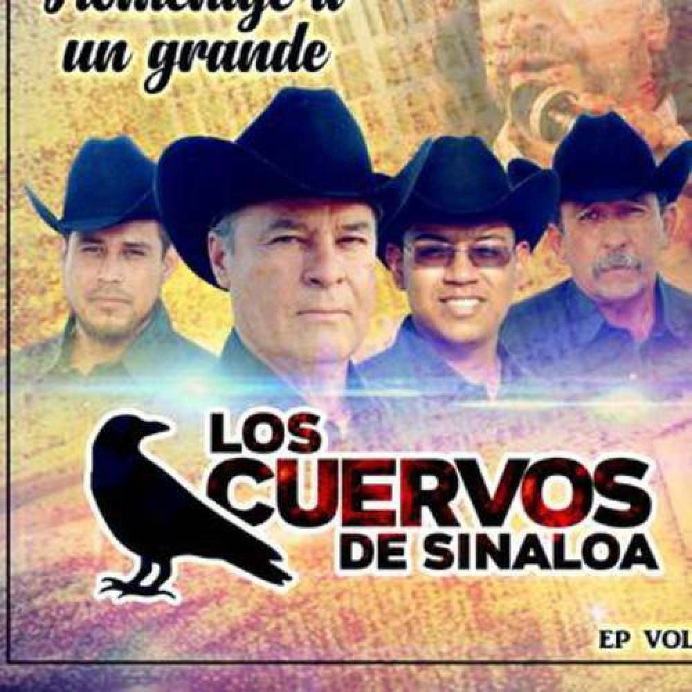Los Cuervos de Sinaloa