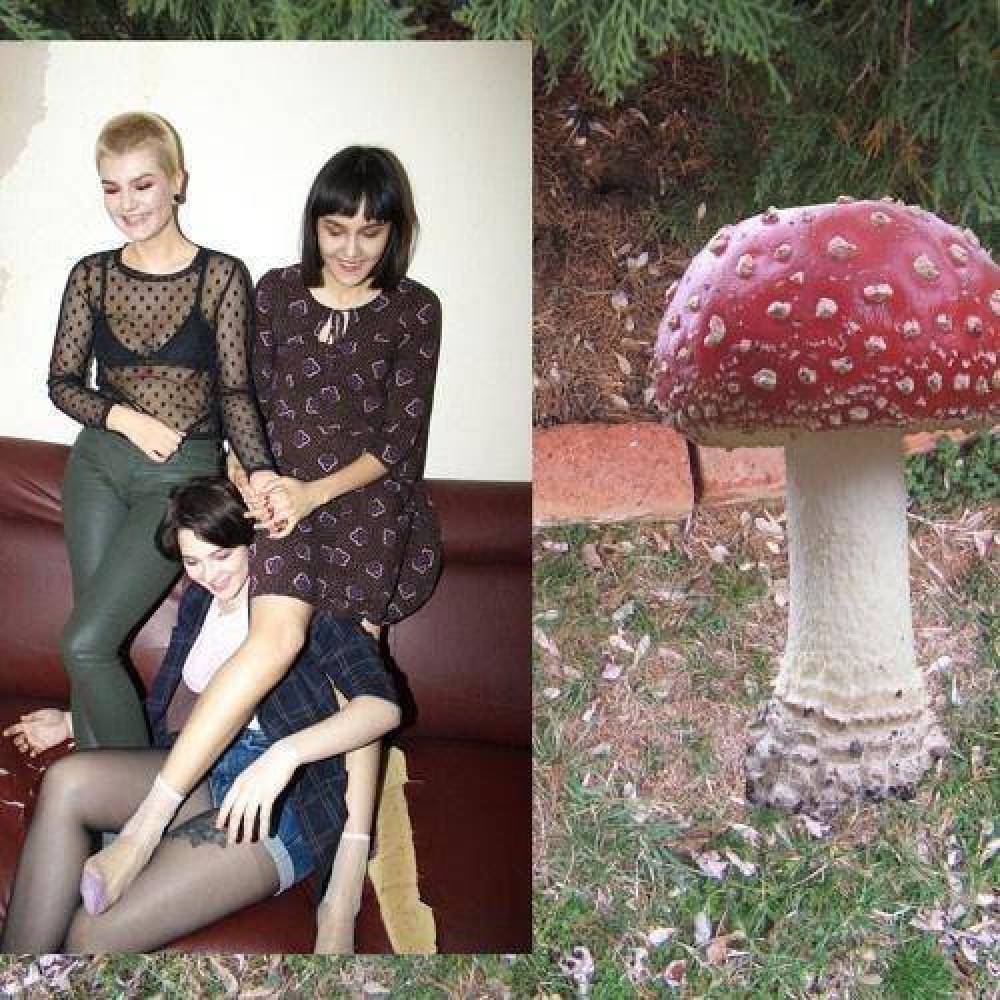 Акульи Слёзы
