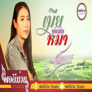 สายแนน พอดีม่วน