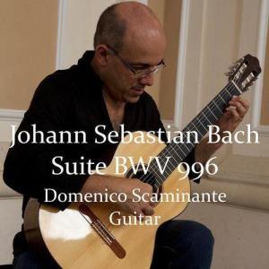 Domenico Scaminante ดาวน์โหลดและฟังเพลงฮิตจาก Domenico Scaminante