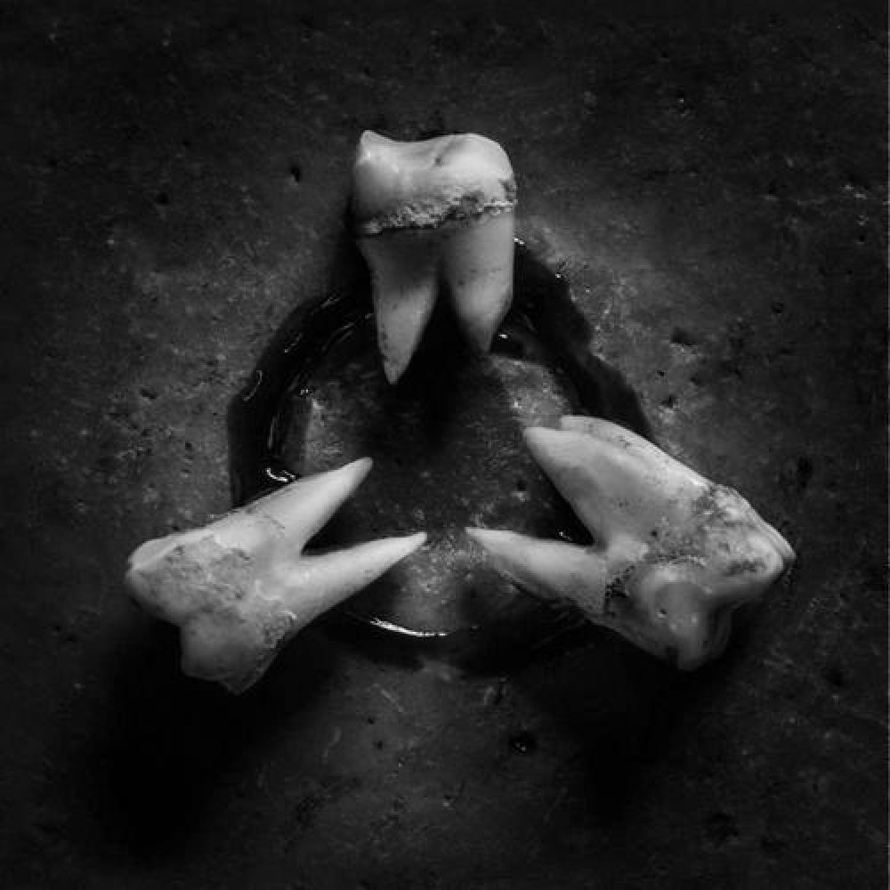 3TEETH