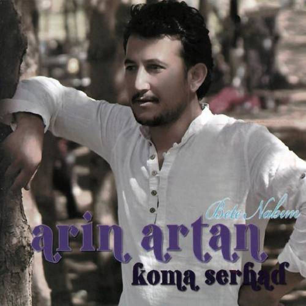 Arin Artan