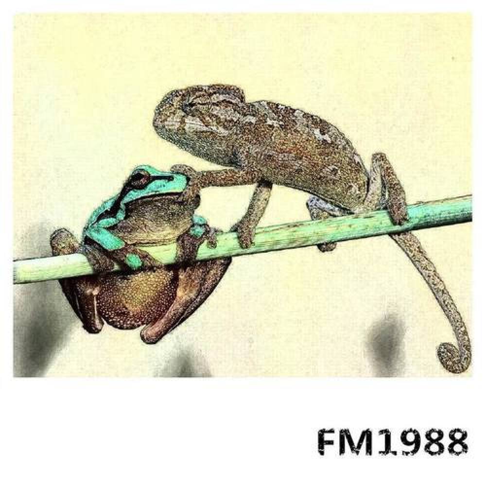 1988