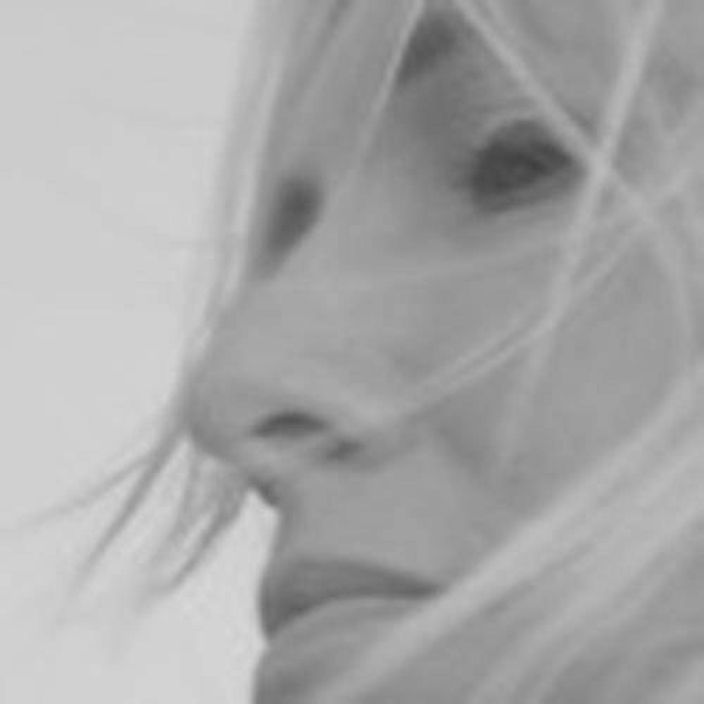 Christel Veraart