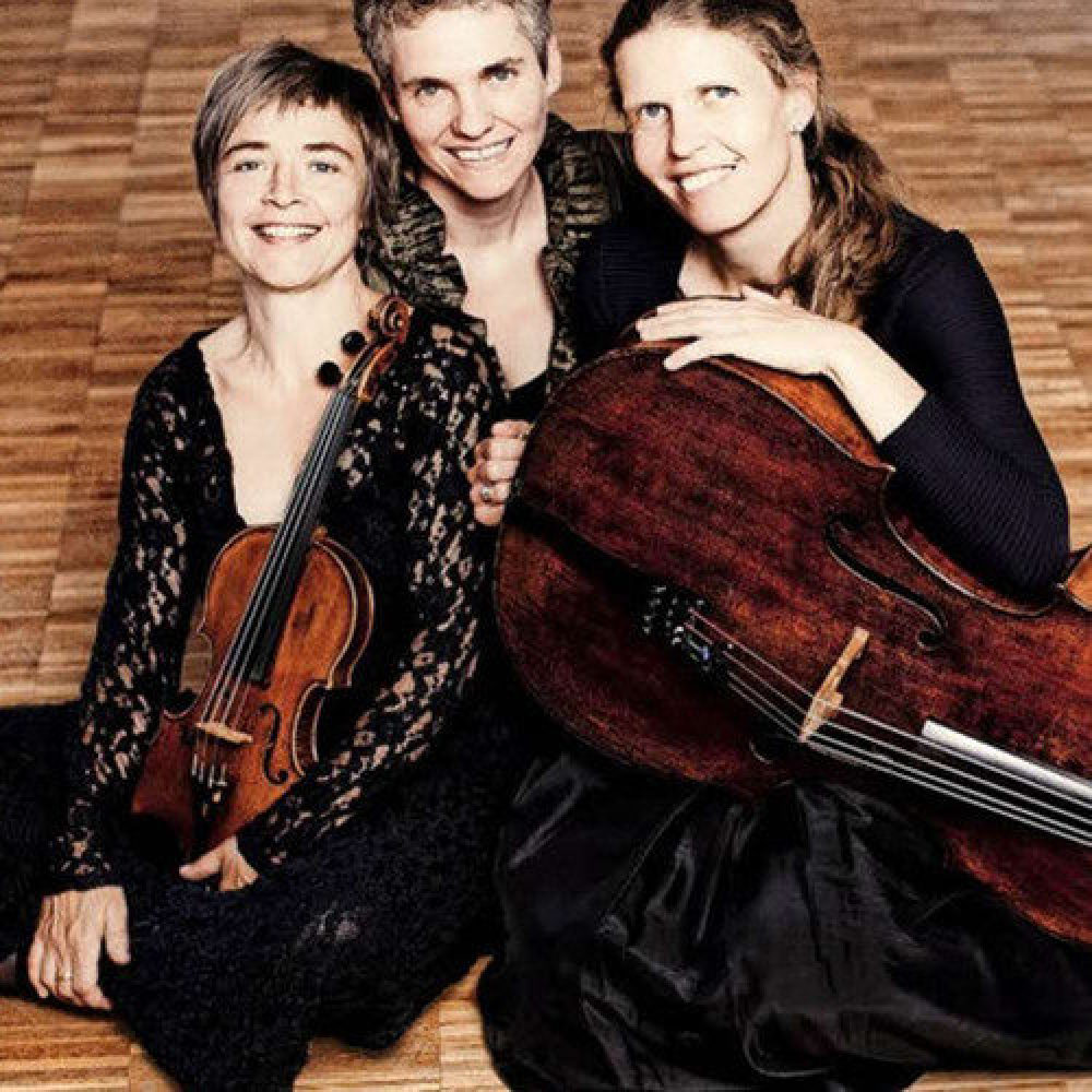 Trio in D Minor, Op. 11: I. Allegro molto vivace