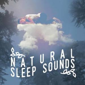 Nature Spa Meditation Music ดาวน์โหลดและฟังเพลงฮิตจาก Nature Spa Meditation Music
