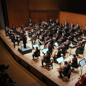 香港小交響樂團