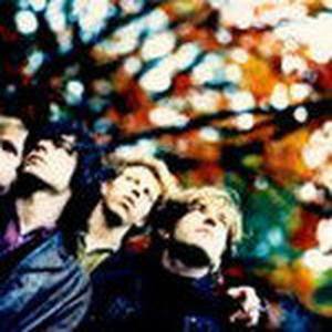 The Fatal Flowers ดาวน์โหลดและฟังเพลงฮิตจาก The Fatal Flowers