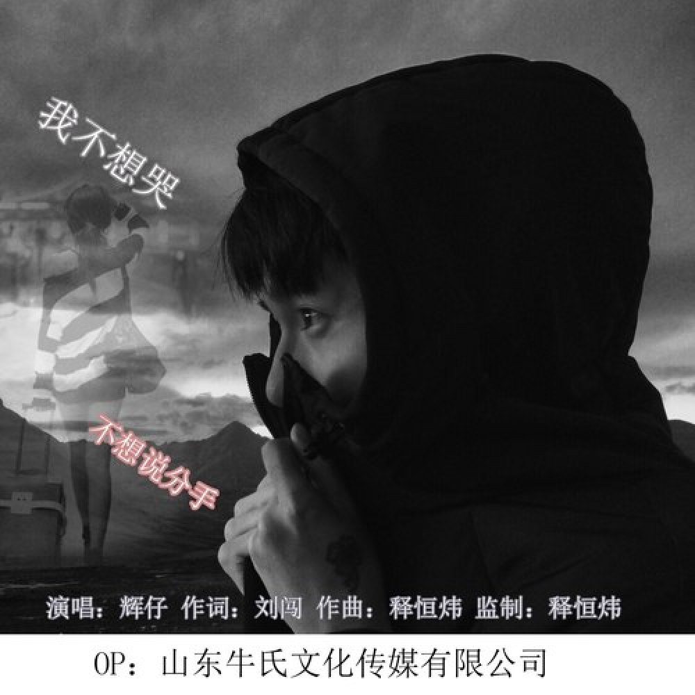 辉仔