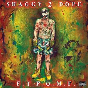 Shaggy 2 Dope ดาวน์โหลดและฟังเพลงฮิตจาก Shaggy 2 Dope