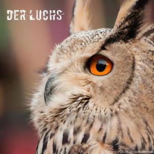 Der Luchs ดาวน์โหลดและฟังเพลงฮิตจาก Der Luchs