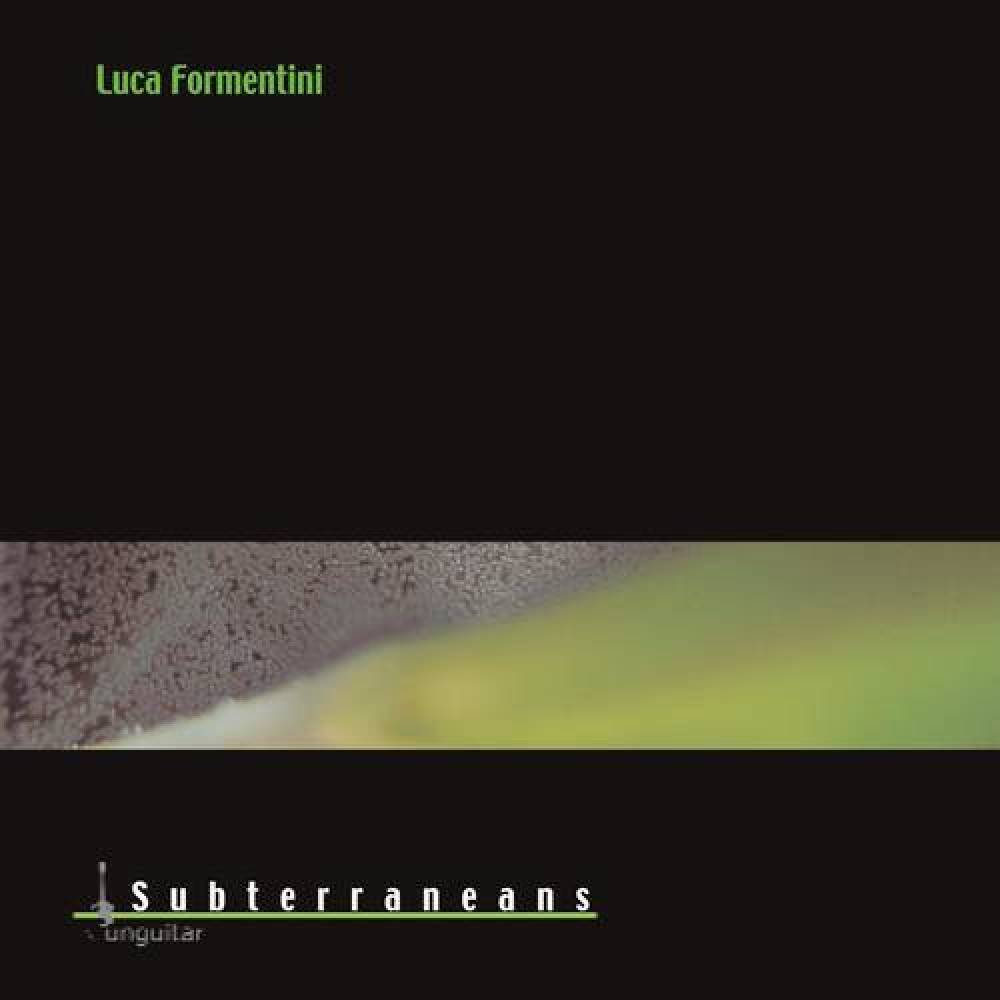 Luca Formentini