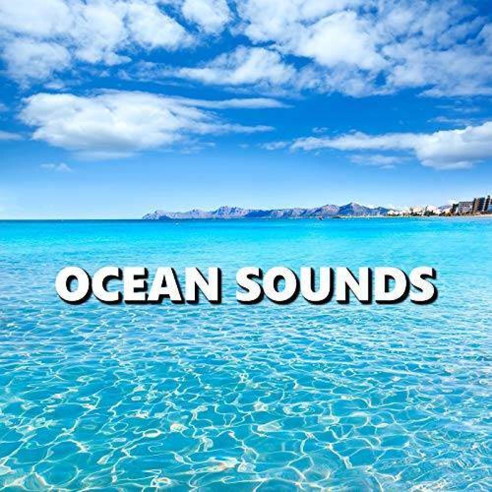 Ocean Sounds