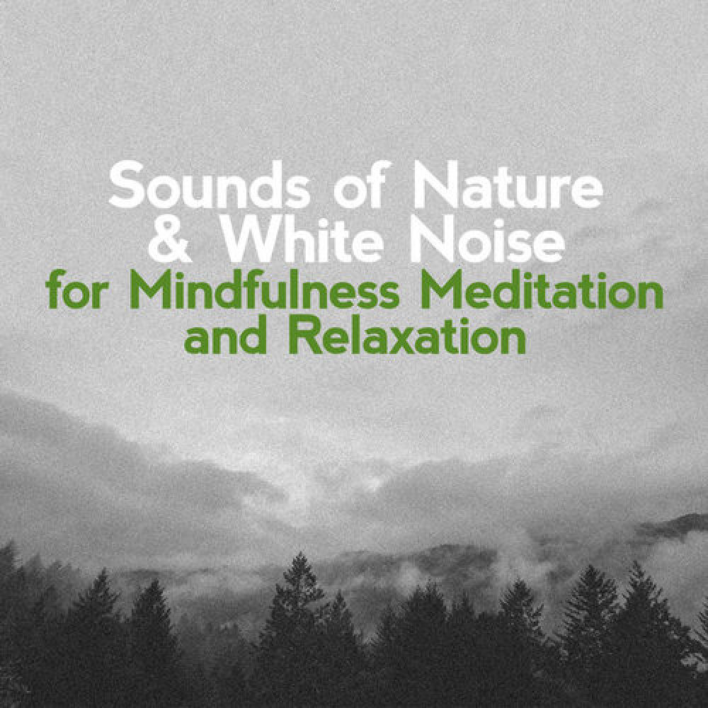 Sounds of Nature White Noise for Mindfulness