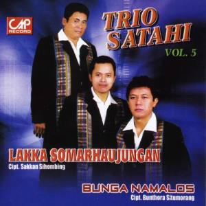 Trio Satahi
