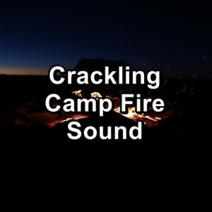 Fire Sounds ดาวน์โหลดและฟังเพลงฮิตจาก Fire Sounds