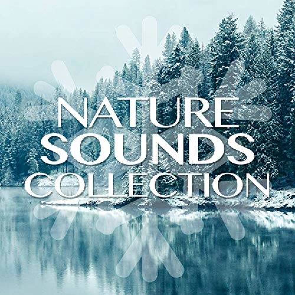 Nature Sound Collection
